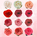Confect Ombre- 5 | Edible Sugar Roses Topper | Grocsy