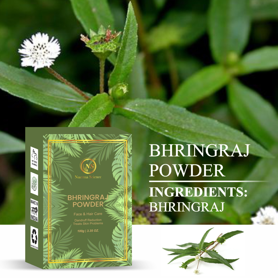 Nuerma Science Bhringraj Natural & Organic Powder | Grocsy