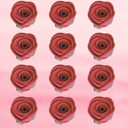 Confect Magenta | Edible Sugar Flowers | Grocsy