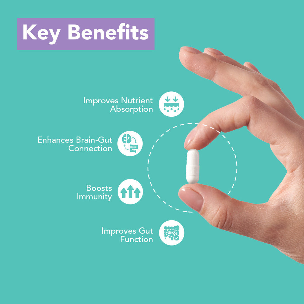 Dr Morpen Intebact Probiotic Capsules | Grocsy