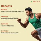 Herbal Hills Sjills Forte Vitality Support Capsules | Grocsy