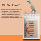 Zenvista Herbs Apothecary Brahmi Powder For Hair | Grocsy