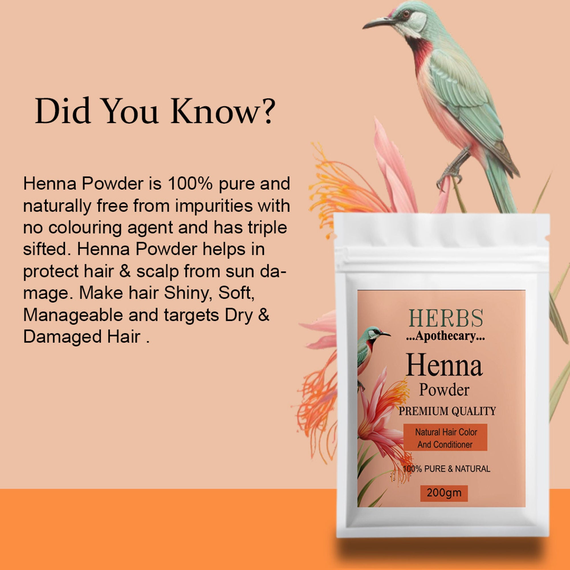 Zenvista Herbs Apothecary Henna Powder For Natural Hair Color & Conditioner | Grocsy