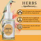Zenvista Herbs Apothecary Apricot Oil For Skin Care And Hair Care | Grocsy