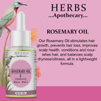 Zenvista Herbs Apothecary Rosemary Oil For Control Hair Fall | Grocsy