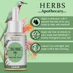 Zenvista Herbs Apothecary Tea Tree Oil For Hair | Grocsy