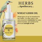 Zenvista Herbs Apothecary Wheatgerm Oil For Hair | Grocsy