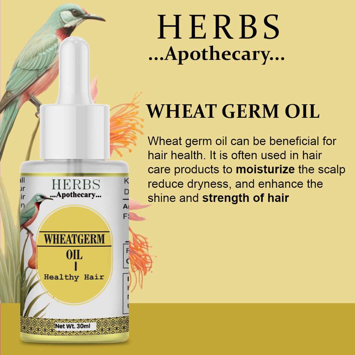 Zenvista Herbs Apothecary Wheatgerm Oil For Hair | Grocsy