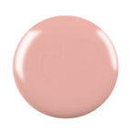 Swiss Beauty Professional UV Gel Nail Polish - Shade-05 | Grocsy