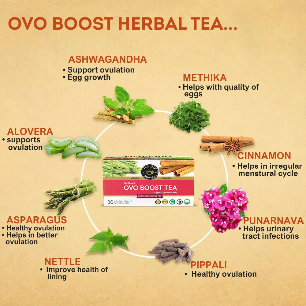 Teacurry Ovo Boost Tea for Women | Grocsy
