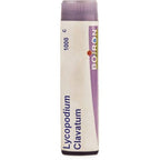 Boiron Homeopathy Lycopodium Clavatum | Grocsy