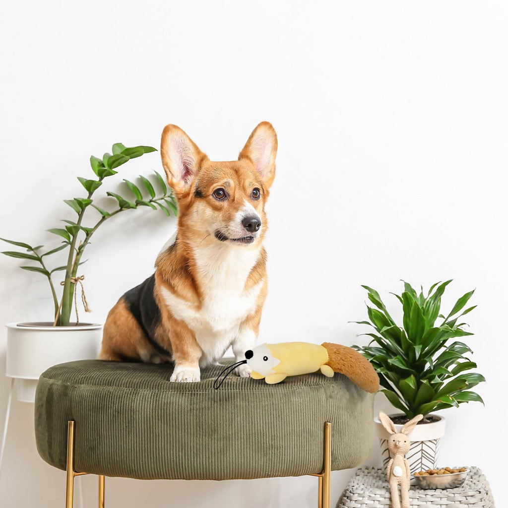 Soft Plush Toy for Pets | Grocsy