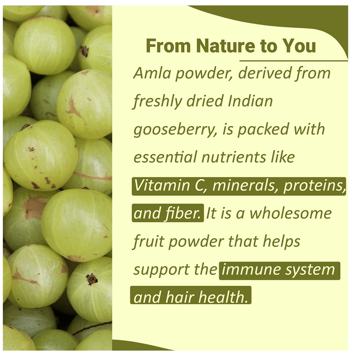 Minature Amla Organic Powder | Grocsy