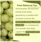 Minature Amla Organic Powder | Grocsy