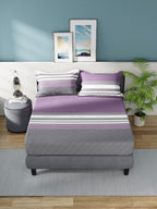 Nautica Bradford Purple & Grey Striped 160 TC Pure Cotton King Bedsheet & 2 Pillow Covers | Grocsy