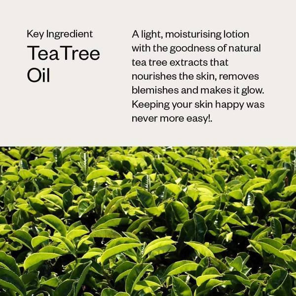 Haeal Tea Tree Oil Soap | Grocsy