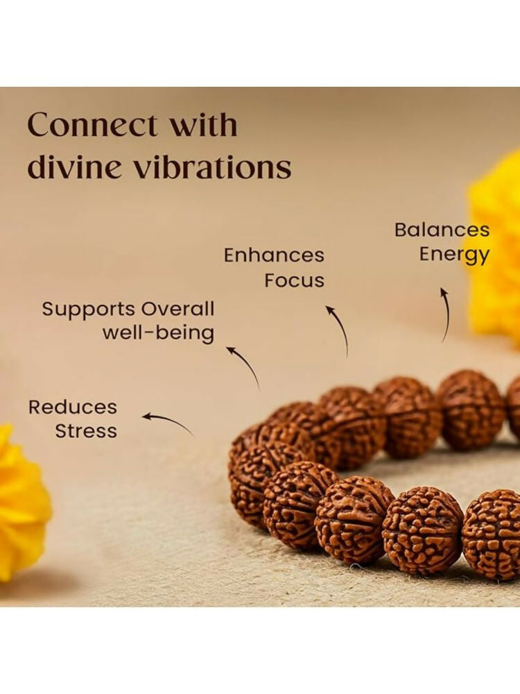 NVR 5 Mukhi Rudraksha Men & Women Bracelet | Grocsy