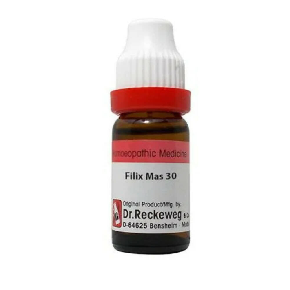Dr. Reckeweg Filix Mas Dilution | Grocsy