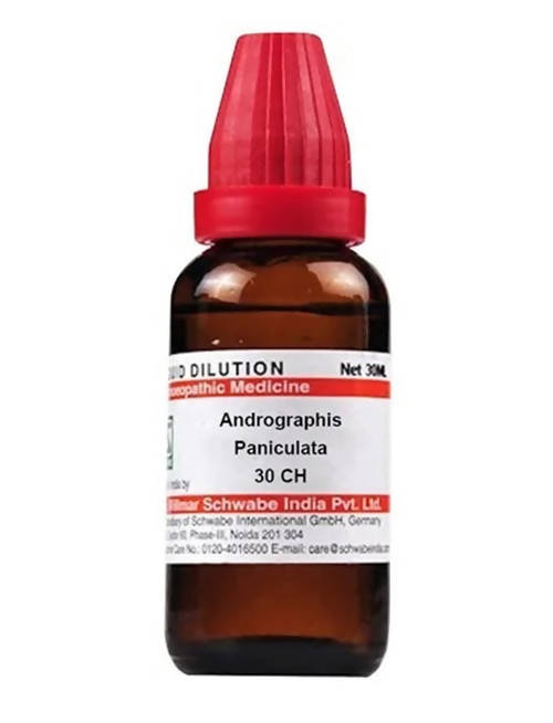 Dr. Willmar Schwabe India Andrographis Paniculata Dilution | Grocsy