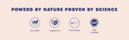 Shivamastu Ayurveda Hingvastak Powder | Grocsy