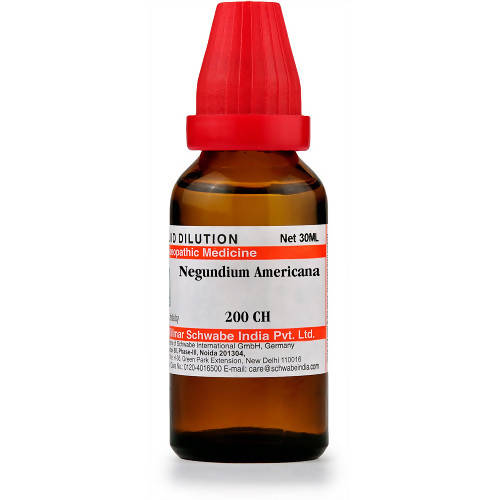 Dr. Willmar Schwabe India Negundium Americana Dilution | Grocsy