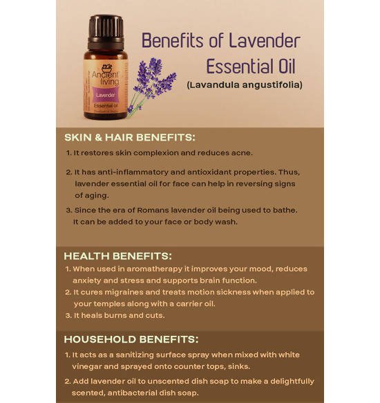 Ancient Living Lavender Essential Oil | Grocsy