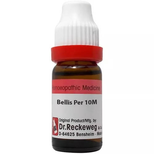 Dr. Reckeweg Bellis Per Dilution | Grocsy