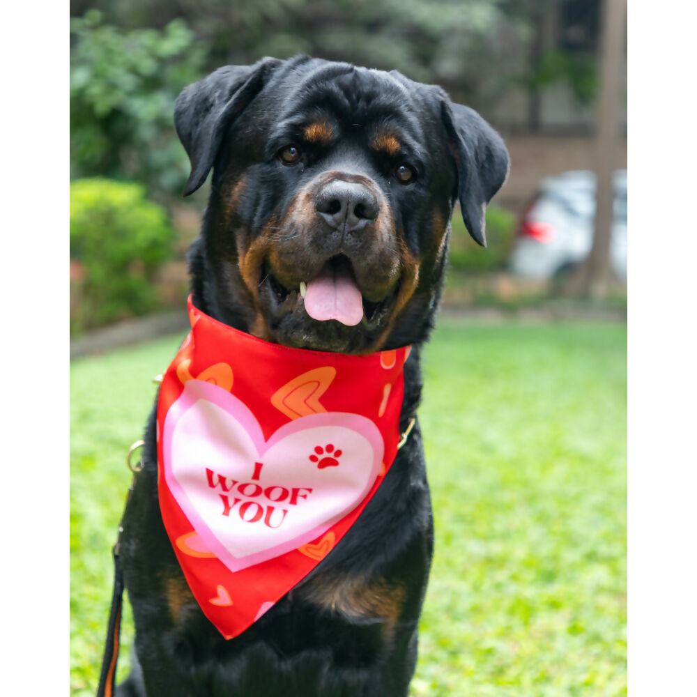 Waggety Dog Bandana - I Woof You, Soft Fabric, Stylish Pet Accessory for Dogs - Red | Grocsy