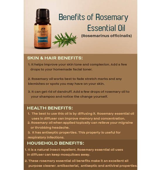 Ancient Living Rosemary Essential Oil | Grocsy