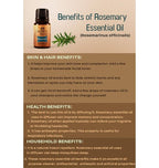 Ancient Living Rosemary Essential Oil | Grocsy