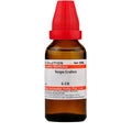 Dr. Willmar Schwabe India Vespa Crabro Dilution | Grocsy