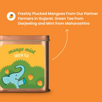 Tea Trunk Mango Mint Green Tea | Grocsy