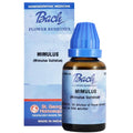 St. George's Bach Flower Remedies Mimulus | Grocsy