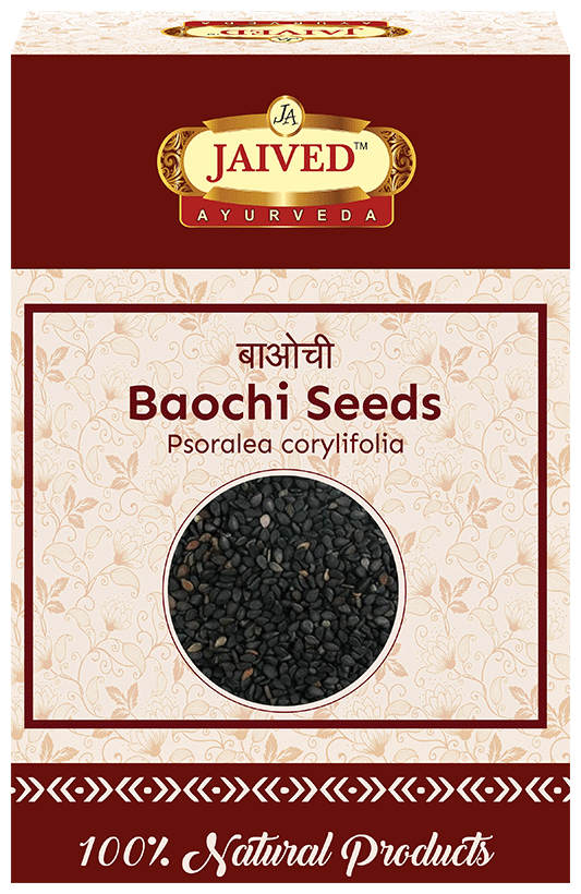 Jaived Ayurveda Baochi Seeds | Grocsy