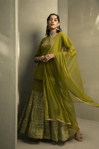 Juniper Green Georgette Festive Embroidered Printed Straight Skd For Women | Grocsy