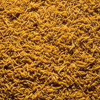 PANCHHI Gujrati Sev Namkeen | Grocsy