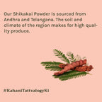 Tattvalogy Natural Shikakai Powder - Herbal Hair Mask which Conditions & Adds Shine for Silky Hair | Grocsy