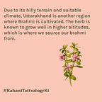 Tattvalogy Brahmi Powder -Brahmi Leaves, Conditions Hair, Adds Shine & Promotes Silky, Healthy Hair | Grocsy
