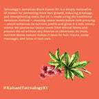 Tattvalogy Jamaican Black Castor Oil-Traditional Recipe, Boosts Hair Volume, Perfect for Curly Hair | Grocsy
