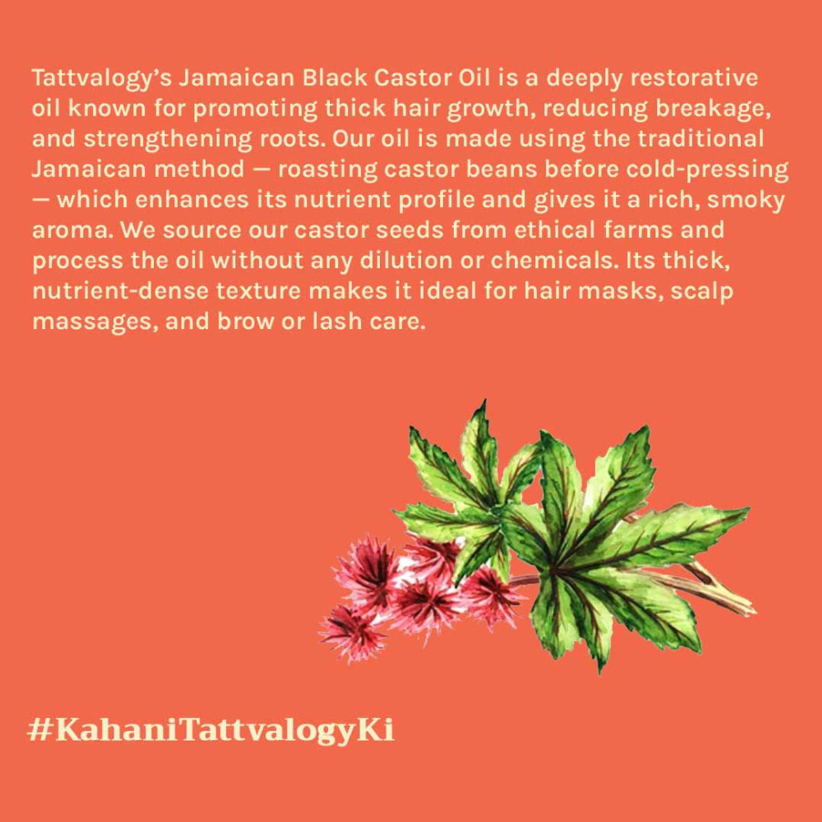 Tattvalogy Jamaican Black Castor Oil-Traditional Recipe, Boosts Hair Volume, Perfect for Curly Hair | Grocsy