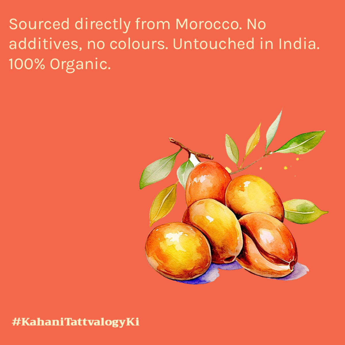 Tattvalogy Organic Moroccan Argan Oil - Vitamin-E Rich, Antioxidant, Tames Frizz for Smooth Hair | Grocsy