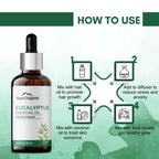 Aravi Organic Nilgiri Eucalyptus Essential Oil | Grocsy