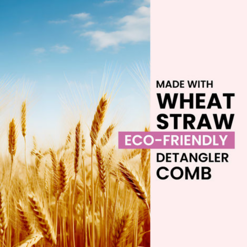 Alps Goodness Wheatstraw Detangler Brush | Grocsy