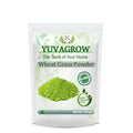 Yuvagrow Wheat Grass Powder | Grocsy