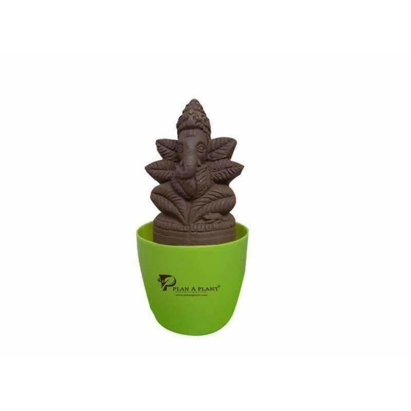 Plant Ganesha | Grocsy
