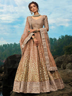 Tulsi Art Brown Zari Worked Soft Net Wedding Wear Lehenga Choli | Grocsy