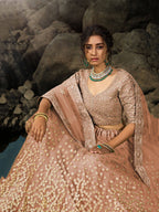 Tulsi Art Brown Zari Worked Soft Net Wedding Wear Lehenga Choli | Grocsy