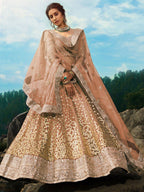 Tulsi Art Brown Zari Worked Soft Net Wedding Wear Lehenga Choli | Grocsy