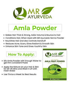 MR Ayurveda Amla Fruit Powder | Grocsy