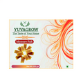 Yuvagrow Mysore Pak | Grocsy